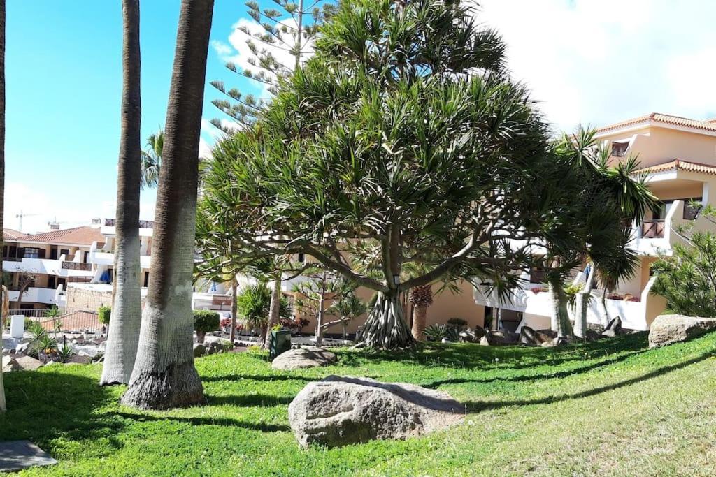 Apartment With Pool And Gardens Near The Coast San Miguel de Abona Bagian luar foto