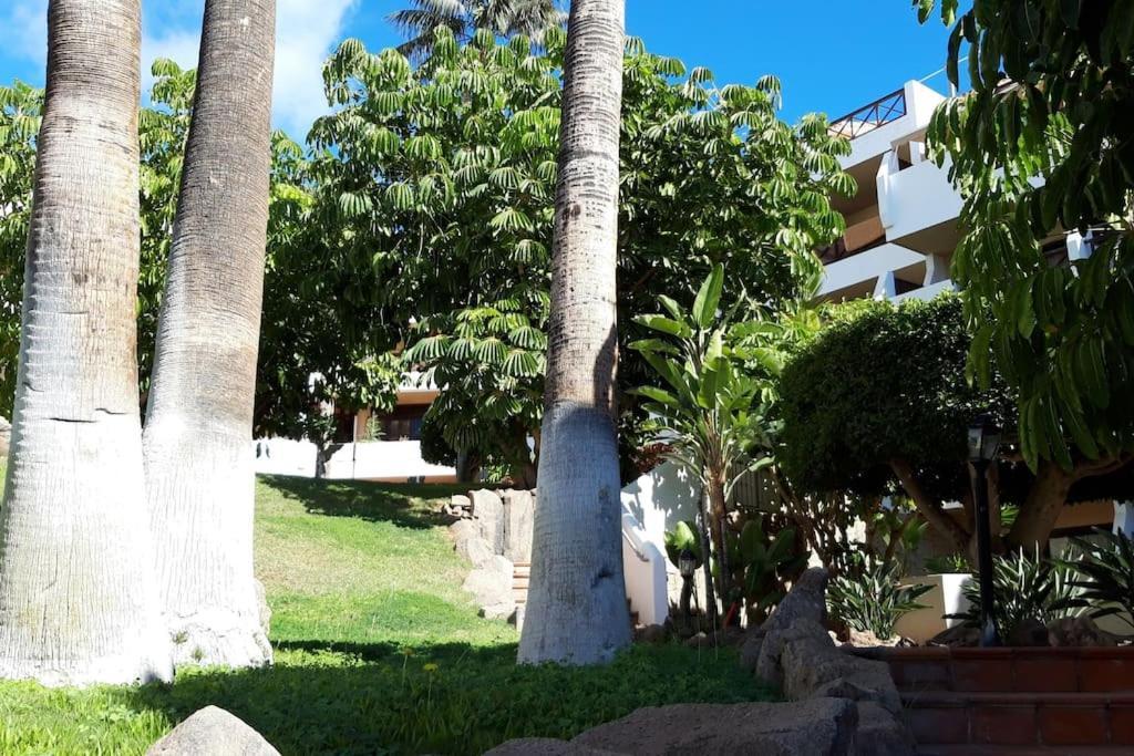 Apartment With Pool And Gardens Near The Coast San Miguel de Abona Bagian luar foto